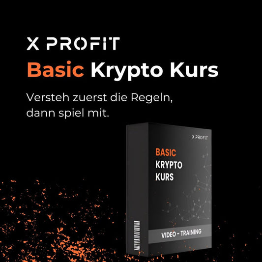 BASICKURS - Krypto verstehen